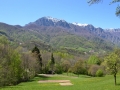 Campi di patate